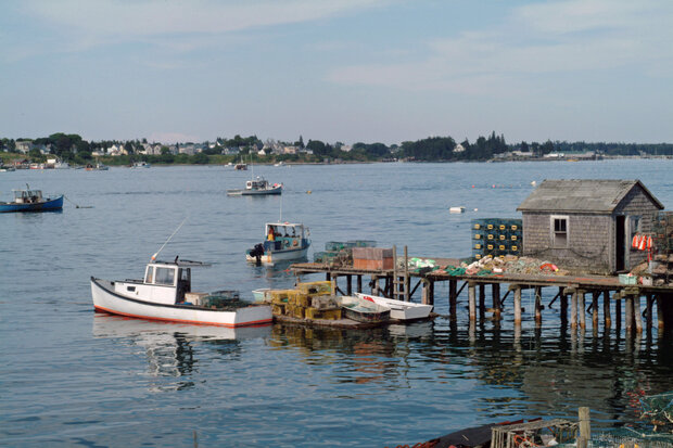 Fishing boats