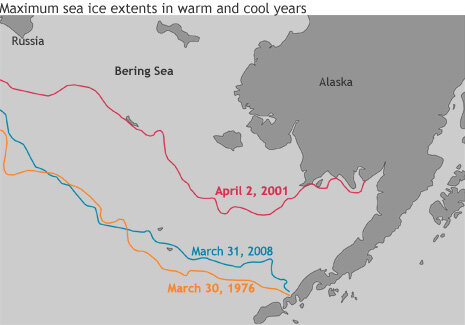 Bering Sea ice extents