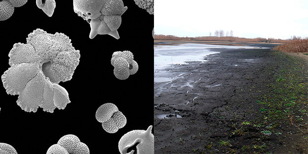 Foraminifera and a drying lake
