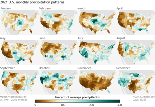 Three rows of small U.S. precipitation departure maps for each month of 2021