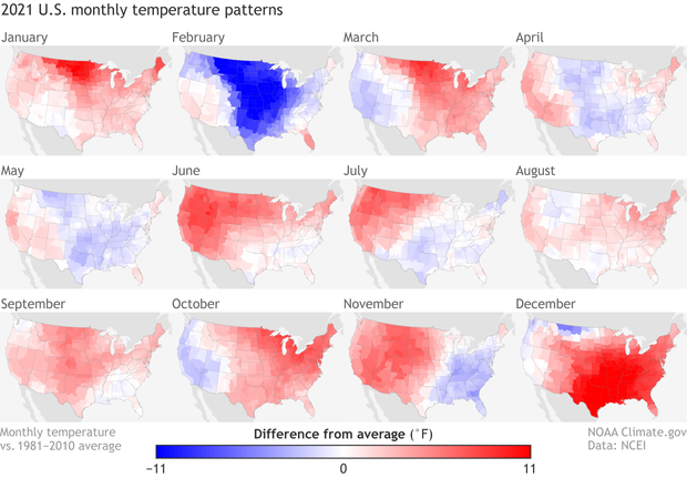 Four rows of small U.S> temperature anomaly maps for each month of 2021