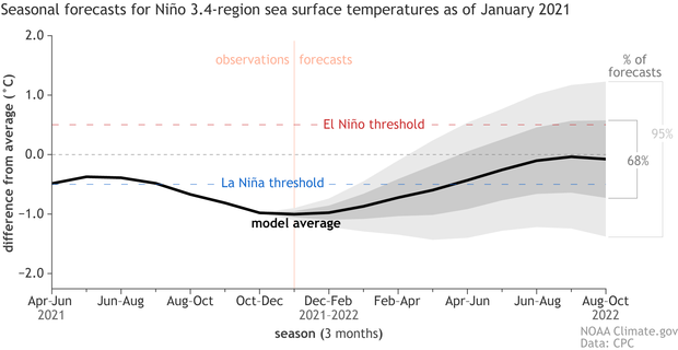 ENSO plume graph, showing predicted Pacific temperatures from multiple models