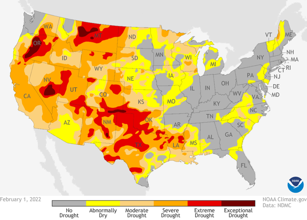 U.S. map of drought conditions as of February 1, 2022