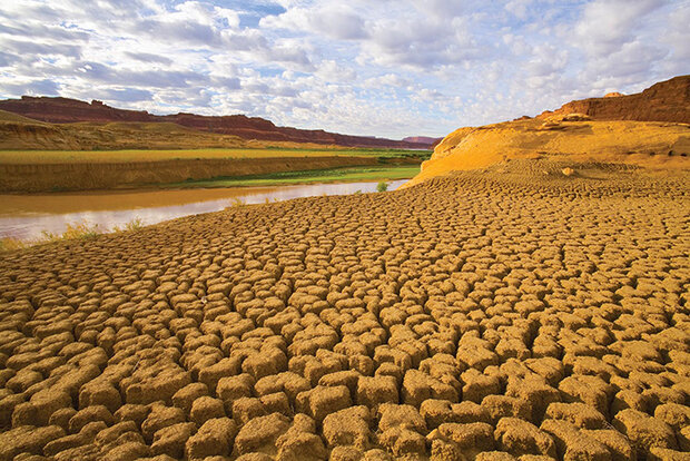 Parched landscape