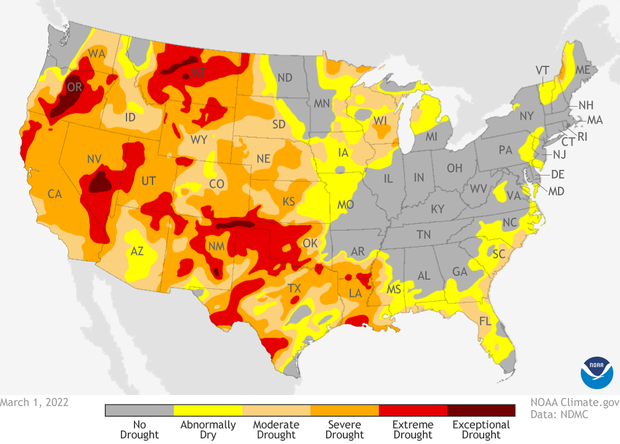 Map of drought conditions across Lower 48 U.S. states as of March 1, 2022