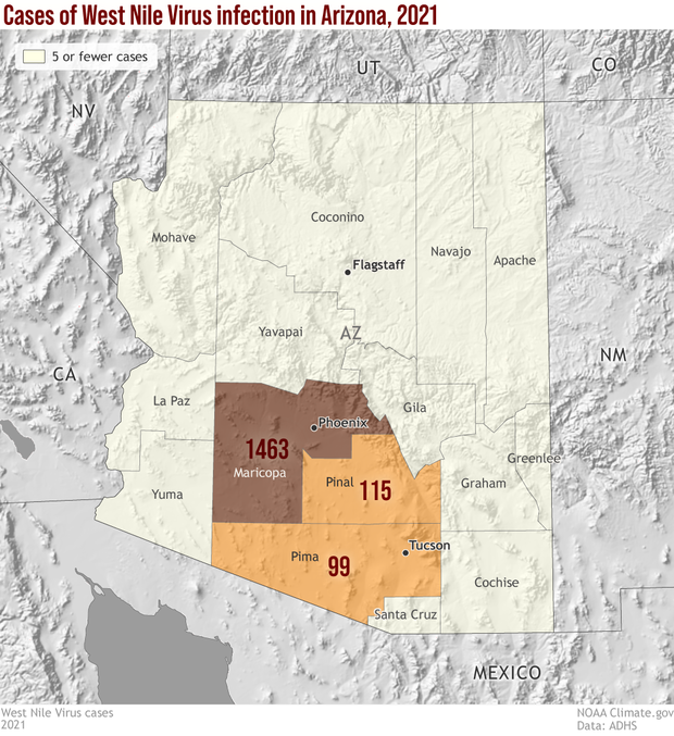 Map of Arizona counties and the number of reported West Nile virus cases in summer 2021