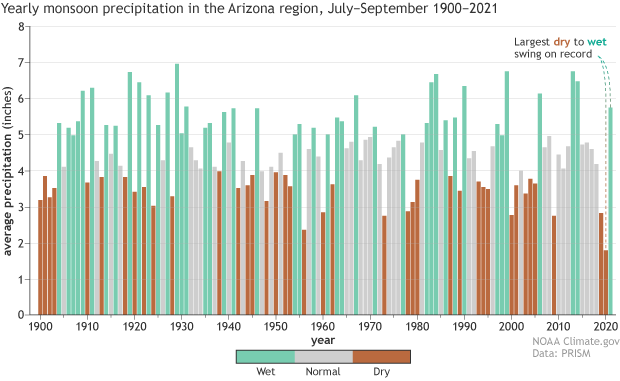 Bar graph of summer precipitation in Arizona 1900-2021