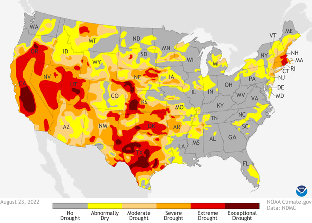 US Drought monitor on August 23, 2022. Yellows, oranges, and reds across the western and central US indicate increasing severities of drought