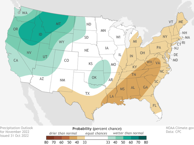 November 2022 precipitation outlook. Browns over eastern US indicates where drier than average conditions are favored. Blues over northwestern US indicates where conditions are favored to be wetter than average.