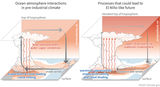 El Nino-like mechanism