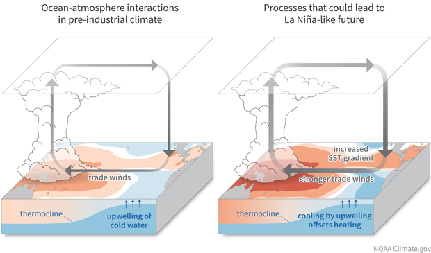 Mechanism for La Nina-like trend (ocean thermostat)