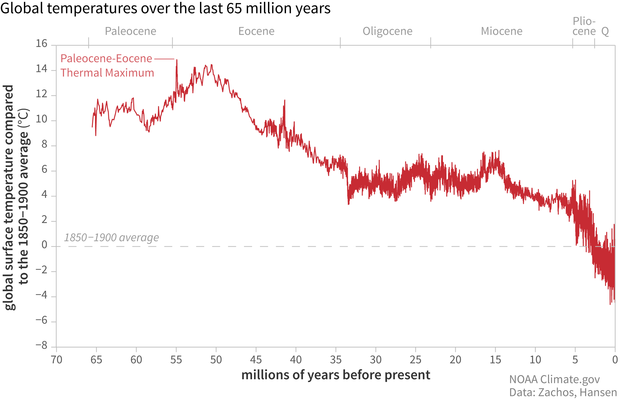 Graph of global temperatures going back 65 million years shows that temperatures were highest during the Paleocene and Eocene eras.