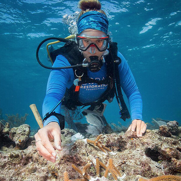 Diver planting corals