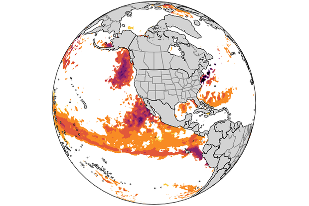 Color-coded globe showing marine heatwaves