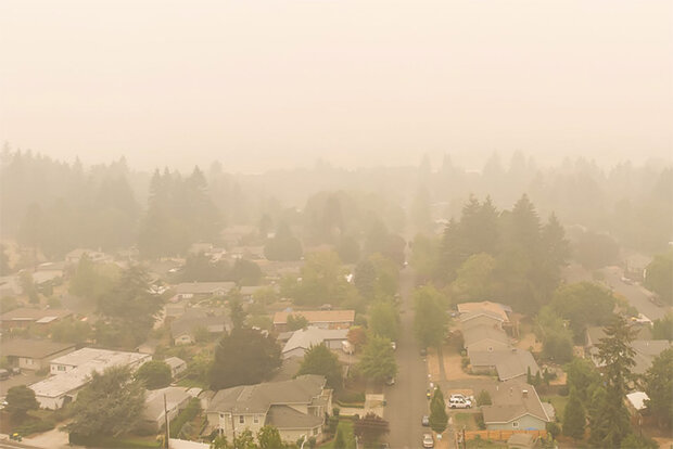 Haze over suburban area