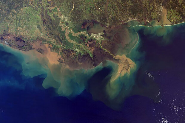 Mississippi River plume