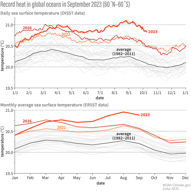 graphs showing global ocean temperature