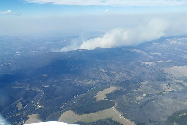 Wildfire plume