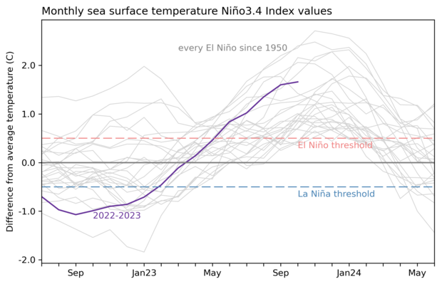 graph showing Nino-3.4 sea surface temperature