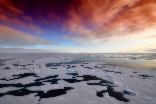 Ocean surface with sea ice under pink clouds