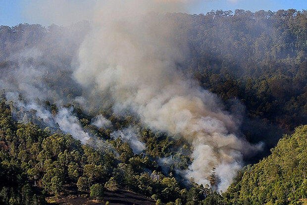 Wildfire smoke