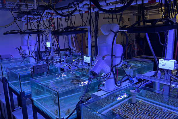 Robotic arm in reef lab