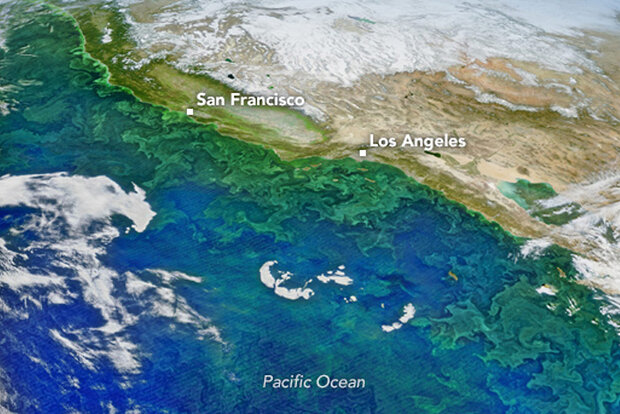 Satellite image of California Current System