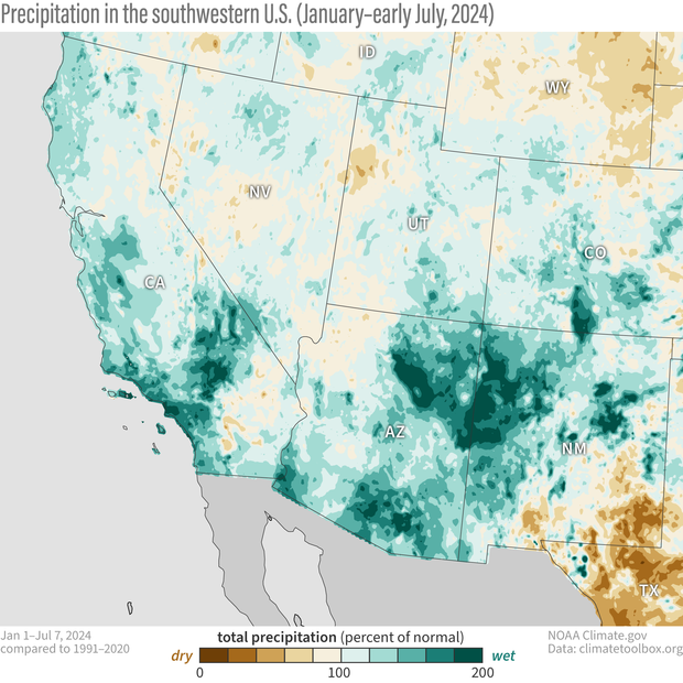 map showing the precipitation Jan-Jul 2024 as percent of normal