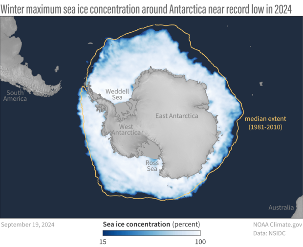 Map of Antarctic sea ice concentration, Sep-19-2024