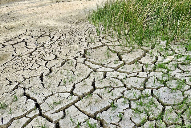 Photo of cracked, dry soil