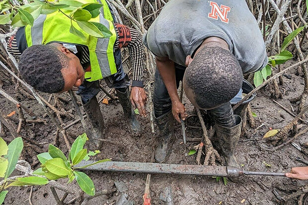 Fieldwork photo in wetland environment