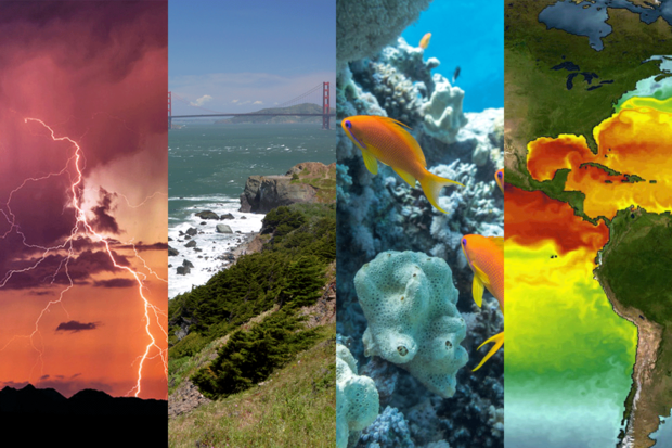 Photo collage of ecosystems and weather events