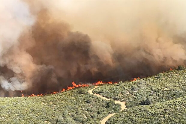 Fireline and smoke along ridge