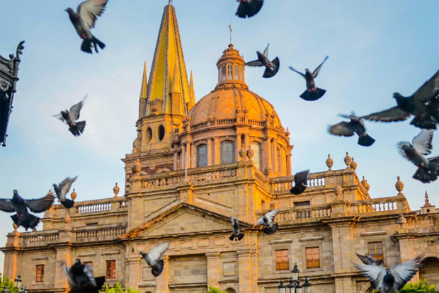 Pigeons in flight with church in background
