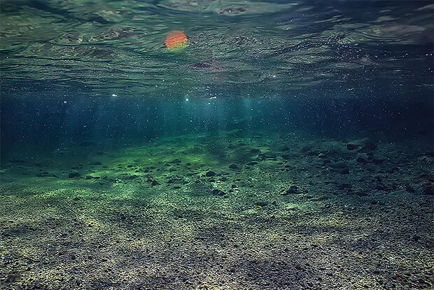 Underwater photo showing ocean floor