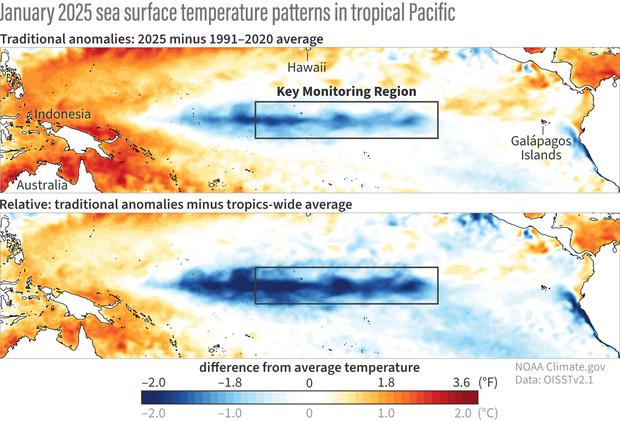 two maps of sea surface temperature in the tropical Pacific
