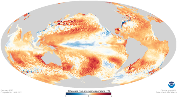 map showing February 2025 sea surface temperature anomaly