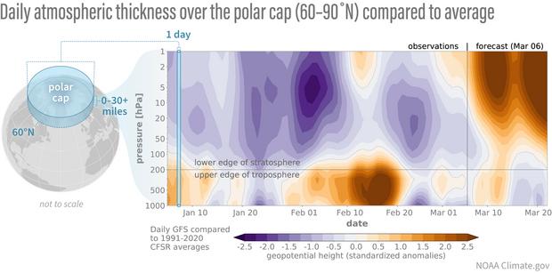 contour plot of atmospheric thickness anomalies over polar cap