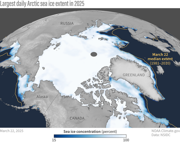 Color-coded map of sea ice in the Arctic Ocean with median line