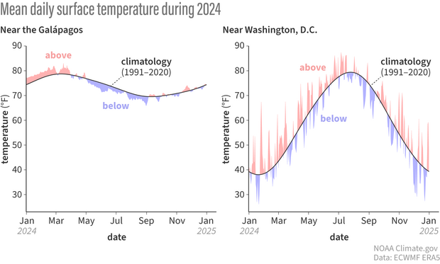 Pair of line graphs showing the daily surface temperature over the course of 2024 compared to average. The graph on the left is for the Galapagos and the one on the right is Washington, DC. 