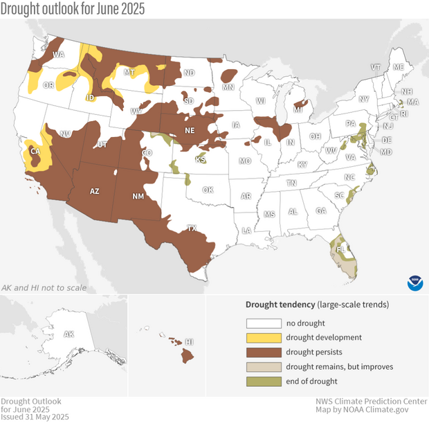 Map showing predicted drought changes or persistence in June 2025