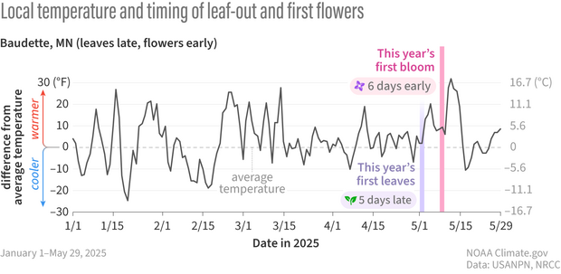 Line graph showing cooler-than-average conditions in early spring and warmer conditions in later spring