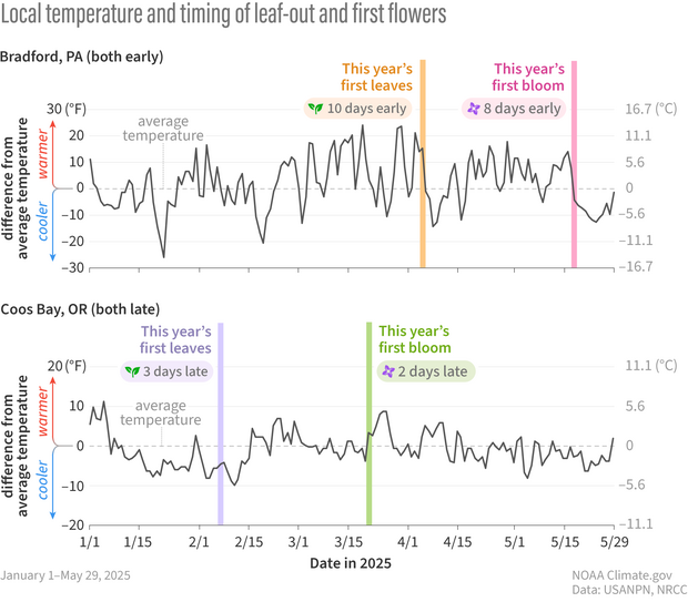 line graph of spring temperatures