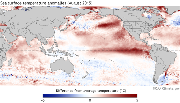 Map of the Indian and Pacific oceans showing sea surface temperature anomaly August 2015
