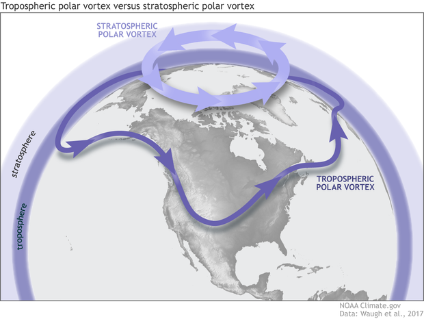 schematic of the tropospheric and stratospheric polar vortexes