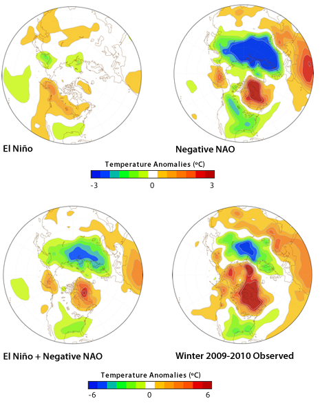 Four maps centered on the Arctic showing temperature anomalies during different configurations of El Niño and the NAO.