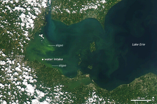 NASA satellite image of toxic algae bloom in Lake Erie on August 3, 2014.