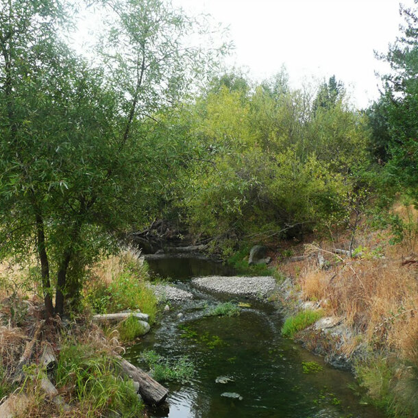 Slow-moving creek