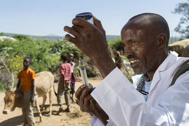 Photo of vaccine preparation by a community animal health worker.