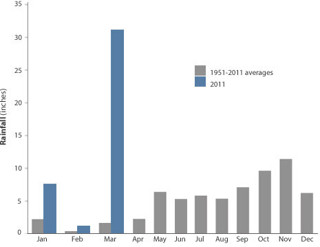 Graph of the monthly average rainfall data (gray bars) from the city of Surat Thani, on the Malay Peninsula in southern Thailand